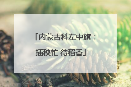 内蒙古科左中旗：插秧忙 待稻香